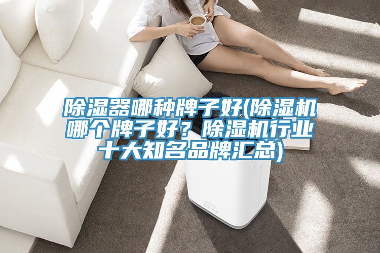 除濕器哪種牌子好(除濕機哪個牌子好？除濕機行業十大知名品牌匯總)