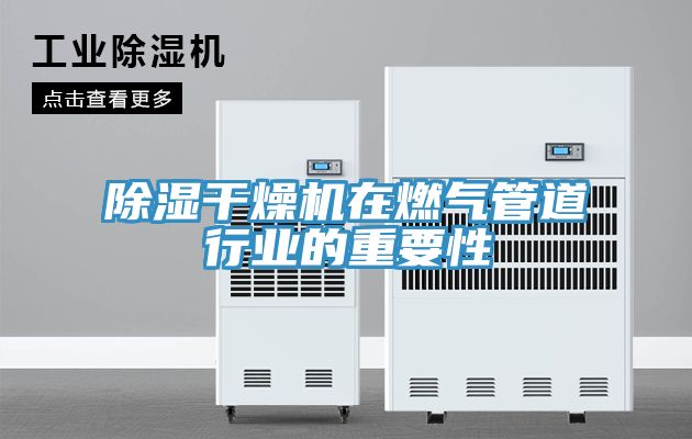 除濕干燥機在燃?xì)夤艿佬袠I(yè)的重要性