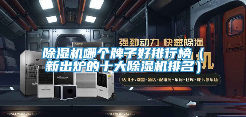除濕機哪個牌子好排行榜(新出爐的十大除濕機排名)