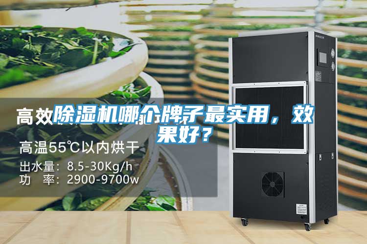 除濕機(jī)哪個(gè)牌子最實(shí)用，效果好？