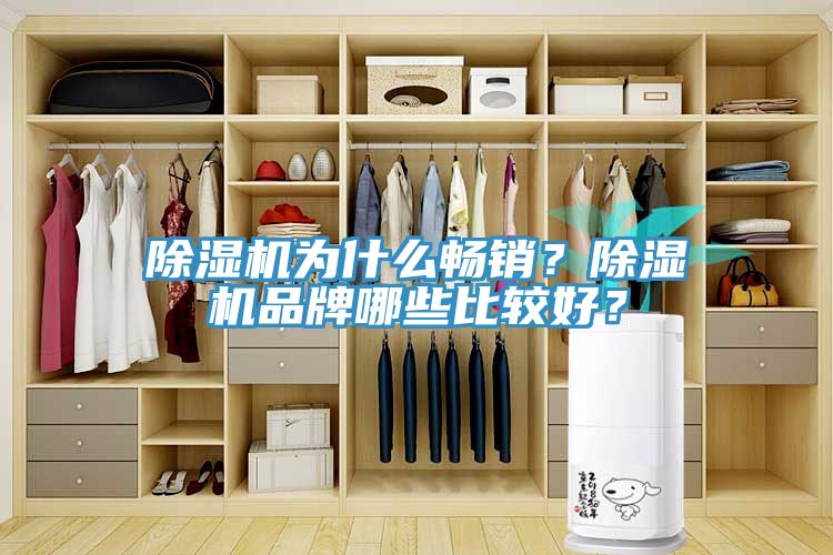 除濕機為什么暢銷？除濕機品牌哪些比較好？