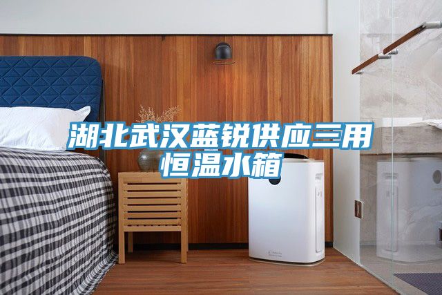湖北武漢藍銳供應(yīng)三用恒溫水箱
