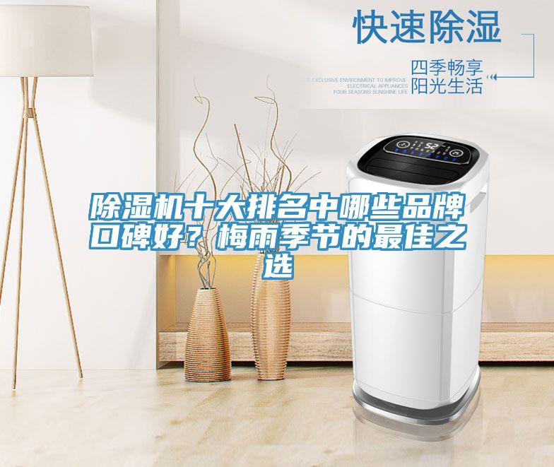 除濕機十大排名中哪些品牌口碑好？梅雨季節的最佳之選