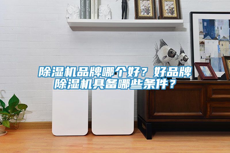 除濕機(jī)品牌哪個(gè)好？好品牌除濕機(jī)具備哪些條件？