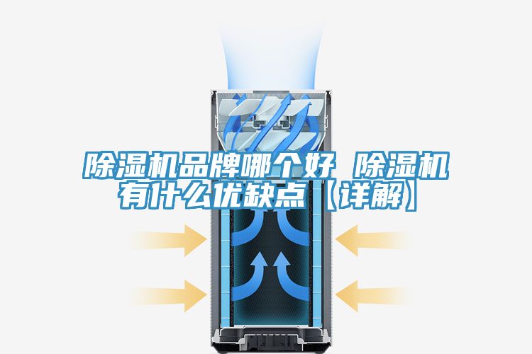 除濕機品牌哪個好 除濕機有什么優缺點【詳解】