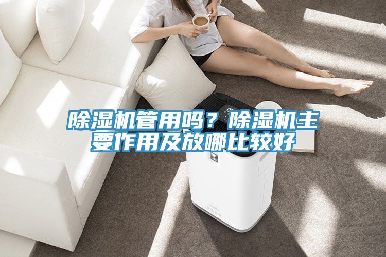 除濕機管用嗎？除濕機主要作用及放哪比較好