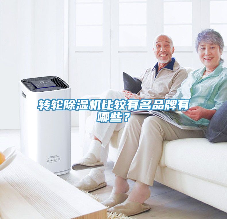 轉輪除濕機比較有名品牌有哪些？