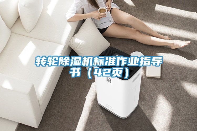 轉輪除濕機標準作業指導書（42頁）