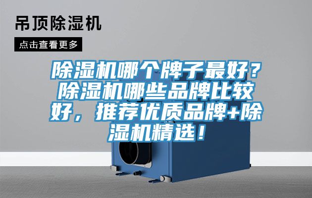 除濕機哪個牌子最好？除濕機哪些品牌比較好，推薦優質品牌+除濕機精選！