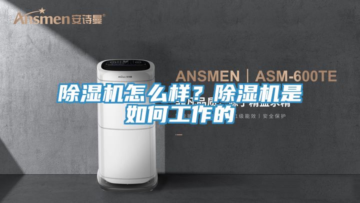 除濕機(jī)怎么樣？除濕機(jī)是如何工作的