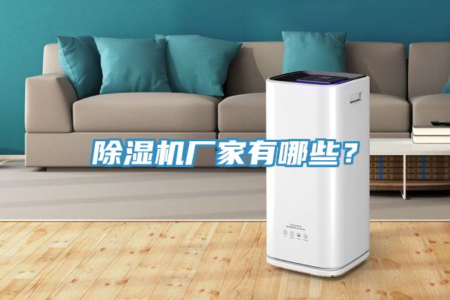除濕機(jī)廠家有哪些？