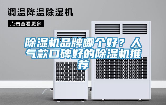 除濕機(jī)品牌哪個(gè)好？人氣款口碑好的除濕機(jī)推薦