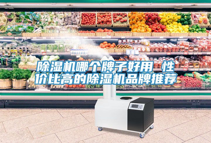 除濕機(jī)哪個(gè)牌子好用 性價(jià)比高的除濕機(jī)品牌推薦
