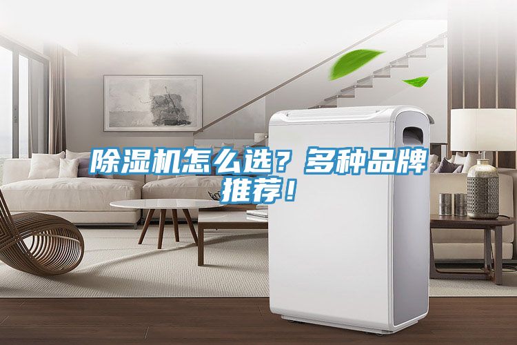 除濕機怎么選？多種品牌推薦！