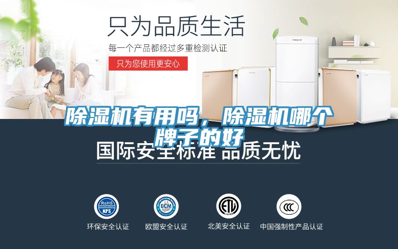 除濕機有用嗎，除濕機哪個牌子的好