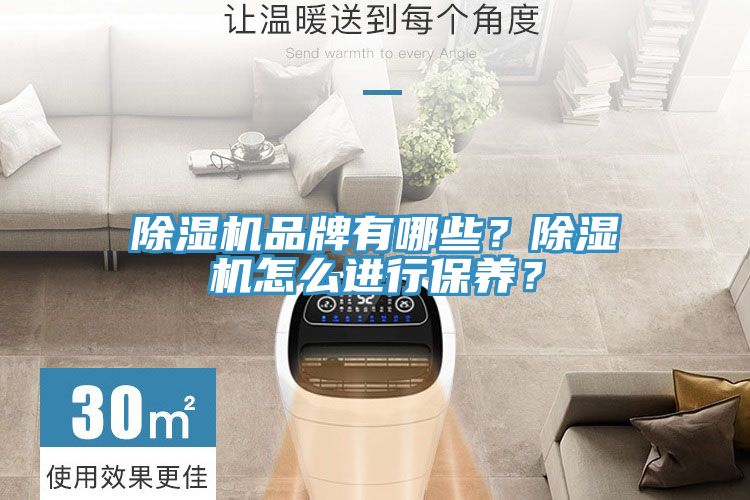 除濕機品牌有哪些？除濕機怎么進行保養？