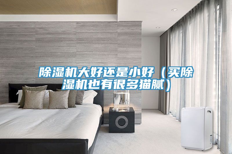 除濕機(jī)大好還是小好（買(mǎi)除濕機(jī)也有很多貓膩）