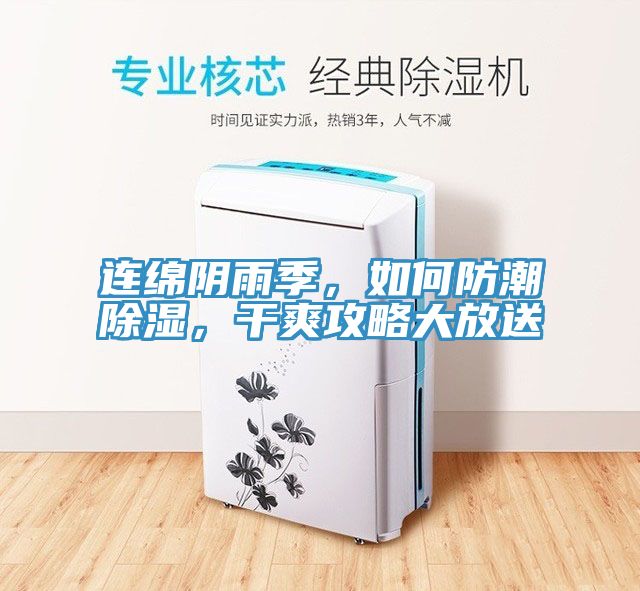 連綿陰雨季,如何防潮除濕,干爽攻略大放送