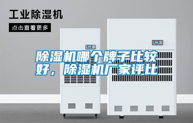 除濕機哪個牌子比較好，除濕機廠家評比