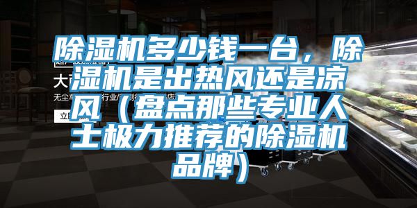 除濕機(jī)多少錢(qián)一臺(tái)，除濕機(jī)是出熱風(fēng)還是涼風(fēng)（盤(pán)點(diǎn)那些專業(yè)人士極力推薦的除濕機(jī)品牌）