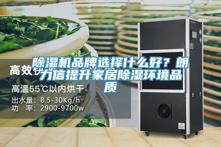 除濕機品牌選擇什么好？朗力信提升家居除濕環境品質