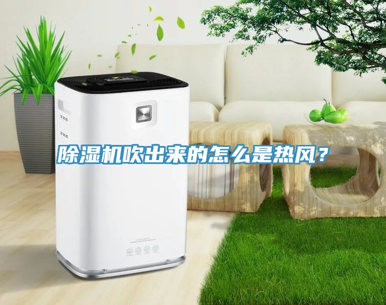 除濕機(jī)吹出來的怎么是熱風(fēng)？