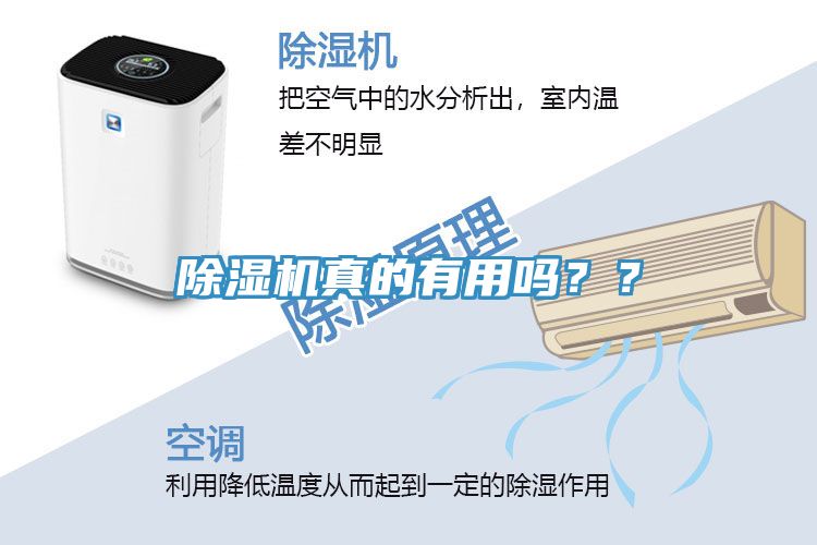 除濕機(jī)真的有用嗎？？