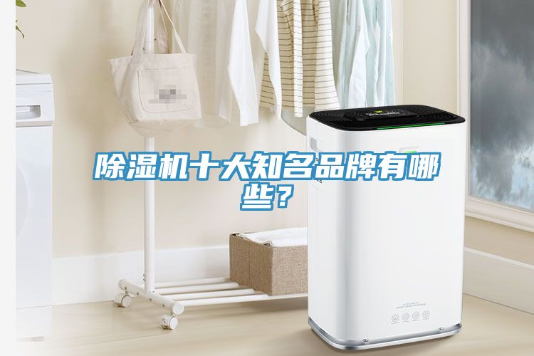 除濕機十大知名品牌有哪些？