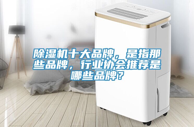 除濕機十大品牌，是指那些品牌，行業協會推薦是哪些品牌？