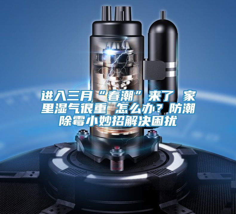 進(jìn)入三月“春潮”來了 家里濕氣很重 怎么辦？防潮除霉小妙招解決困擾