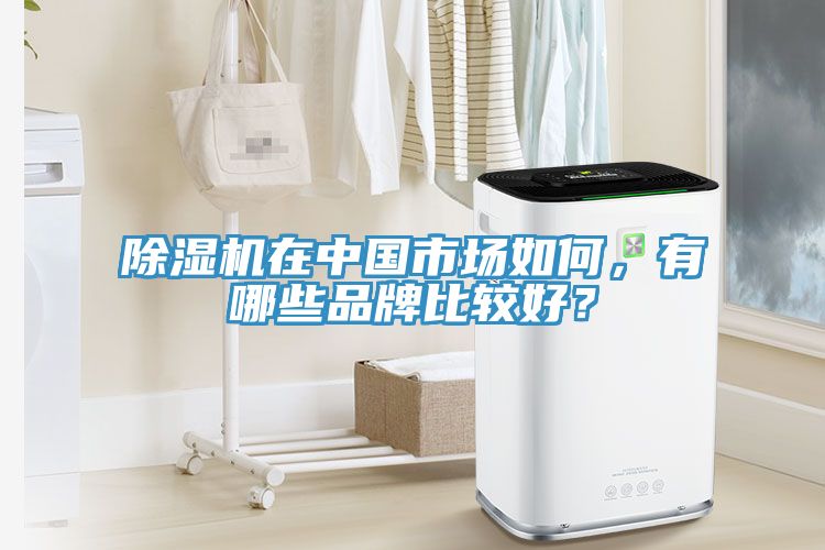 除濕機在中國市場如何，有哪些品牌比較好？