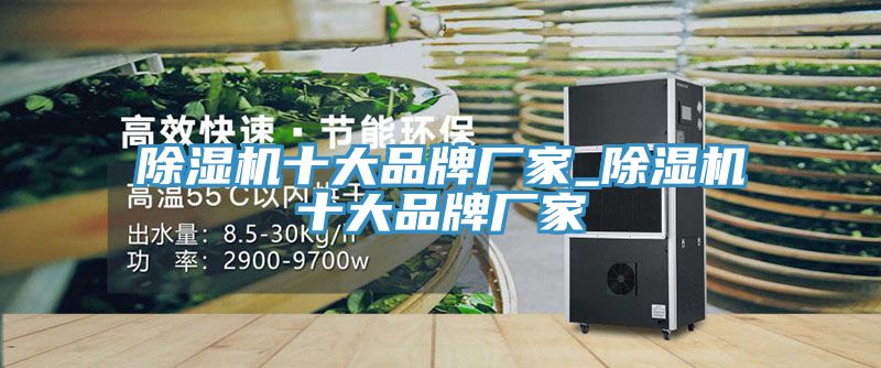 除濕機(jī)十大品牌廠家_除濕機(jī)十大品牌廠家