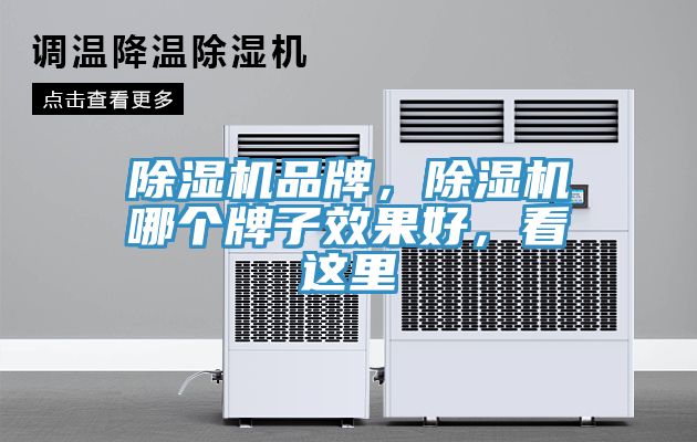 除濕機品牌，除濕機哪個牌子效果好，看這里