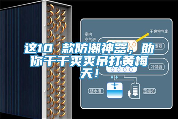 這10 款防潮神器，助你干干爽爽吊打黃梅天！