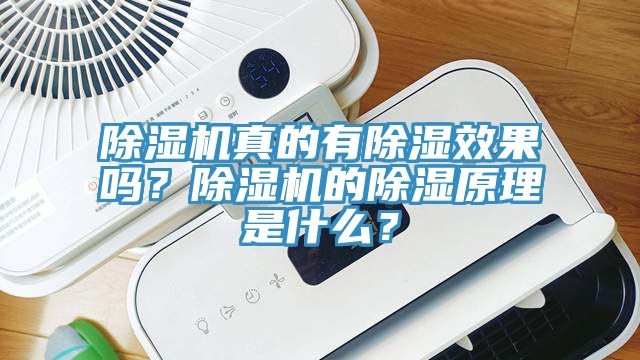 除濕機(jī)真的有除濕效果嗎？除濕機(jī)的除濕原理是什么？