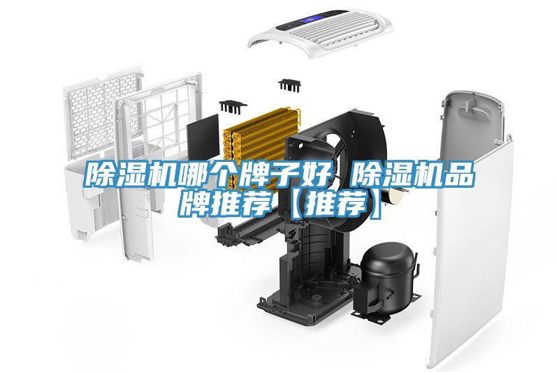 除濕機(jī)哪個(gè)牌子好 除濕機(jī)品牌推薦【推薦】