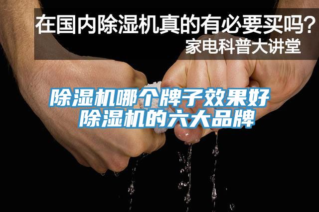除濕機哪個牌子效果好 除濕機的六大品牌