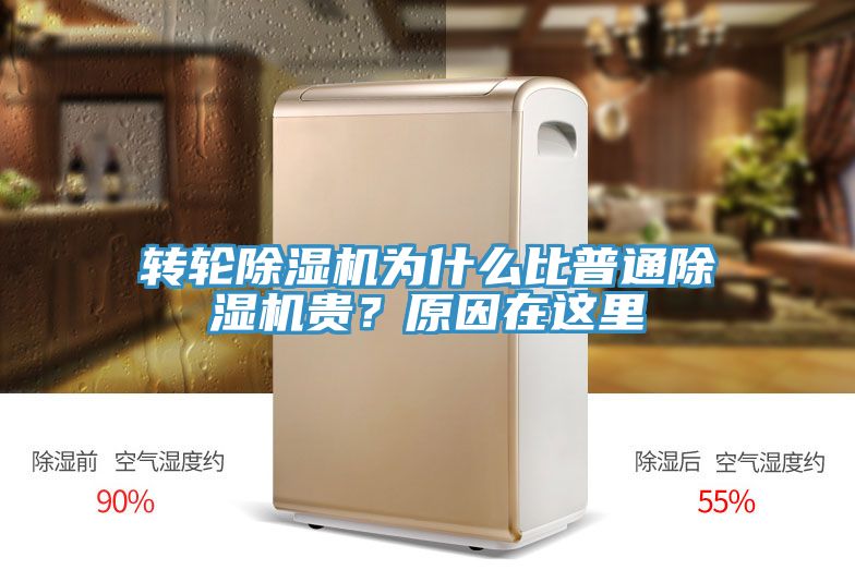 轉輪除濕機為什么比普通除濕機貴？原因在這里
