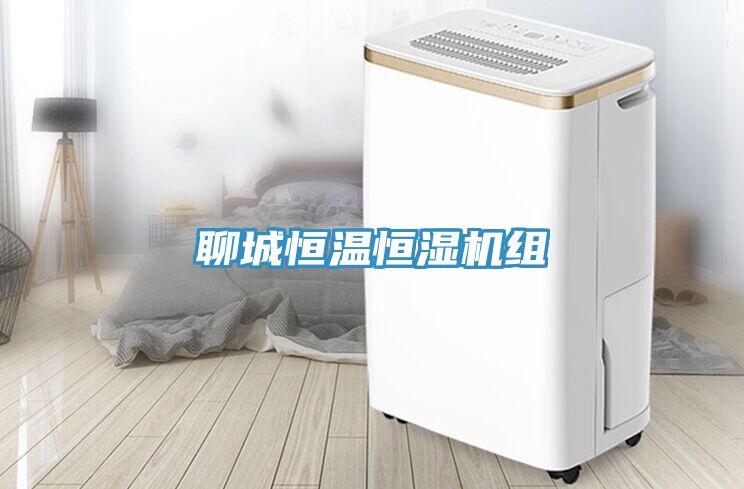 聊城恒溫恒濕機組