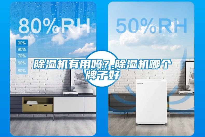 除濕機有用嗎？除濕機哪個牌子好
