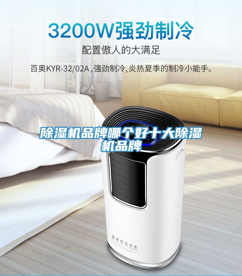 除濕機(jī)品牌哪個(gè)好十大除濕機(jī)品牌