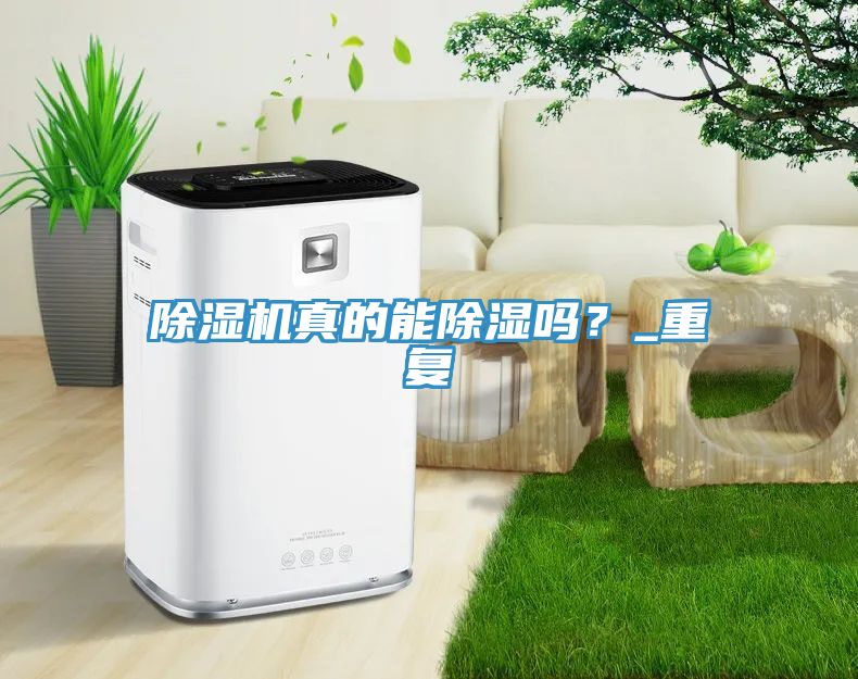 除濕機真的能除濕嗎？_重復