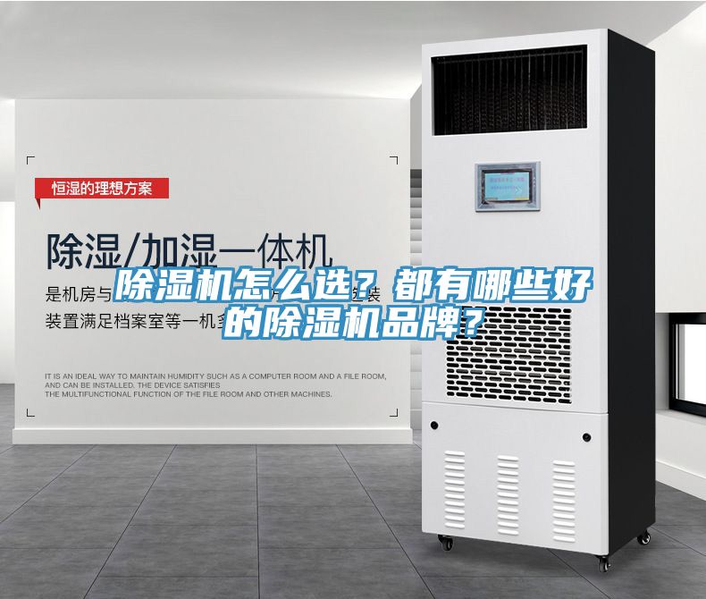 除濕機怎么選？都有哪些好的除濕機品牌？