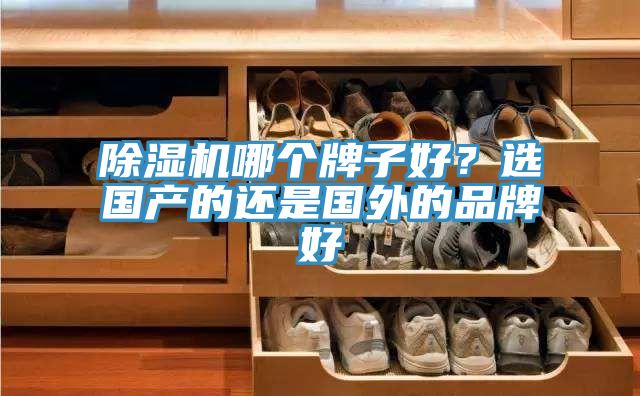除濕機哪個牌子好？選國產的還是國外的品牌好