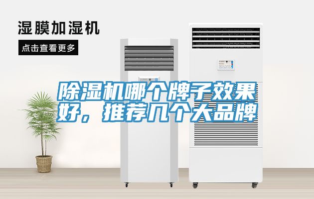 除濕機哪個牌子效果好，推薦幾個大品牌
