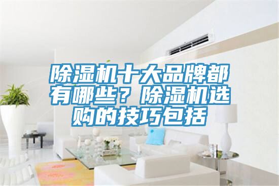 除濕機十大品牌都有哪些？除濕機選購的技巧包括