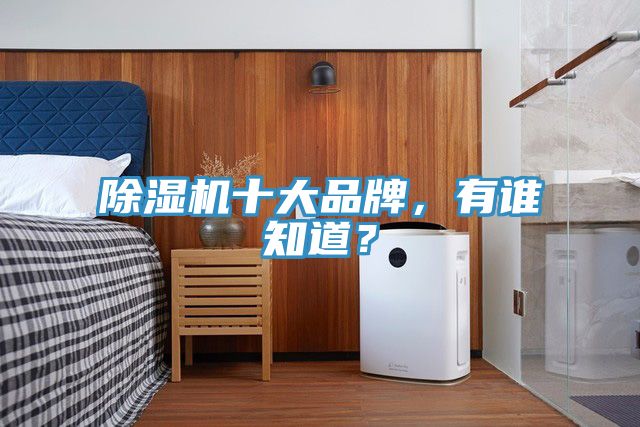 除濕機十大品牌，有誰知道？