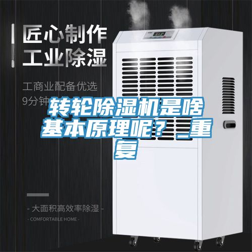 轉輪除濕機是啥基本原理呢？_重復