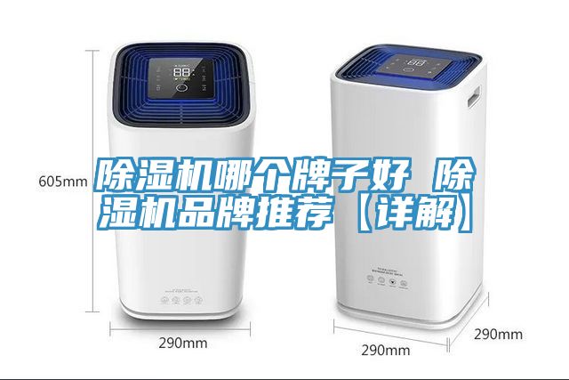 除濕機(jī)哪個(gè)牌子好 除濕機(jī)品牌推薦【詳解】