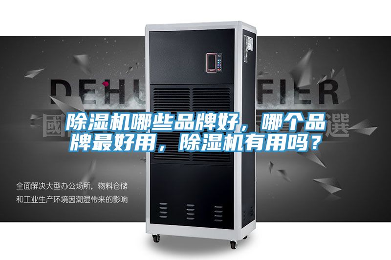 除濕機哪些品牌好，哪個品牌最好用，除濕機有用嗎？